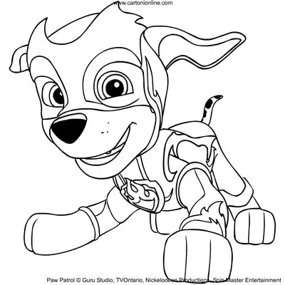 Disegni da colorare di Marshall dei Paw Patrol